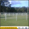 cattle fence horse fence hot sale